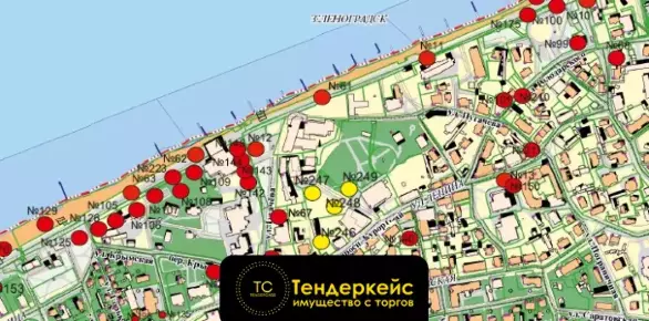 заключение договора на размещение и эксплуатацию нестационарного торгового объекта на территории Зеленоградского муницип...