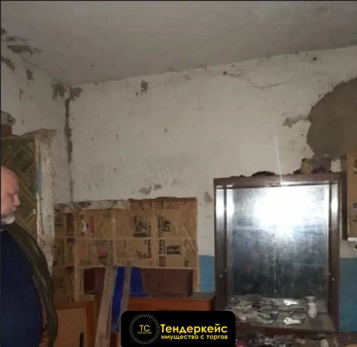 Изображение лота Квартира 24,5 кв. м, Багратионовский район, п. Березовка, пер. Вишняковский, д. 1, кв. 3, кадастровый номер 39:01:051502:154 №9