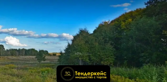 Изображение лота Земельный участок - 5000,  Гурьевский район, п. Ласкино, ул. Репина, кадастровый номер 39:03:080817:1735,   №1